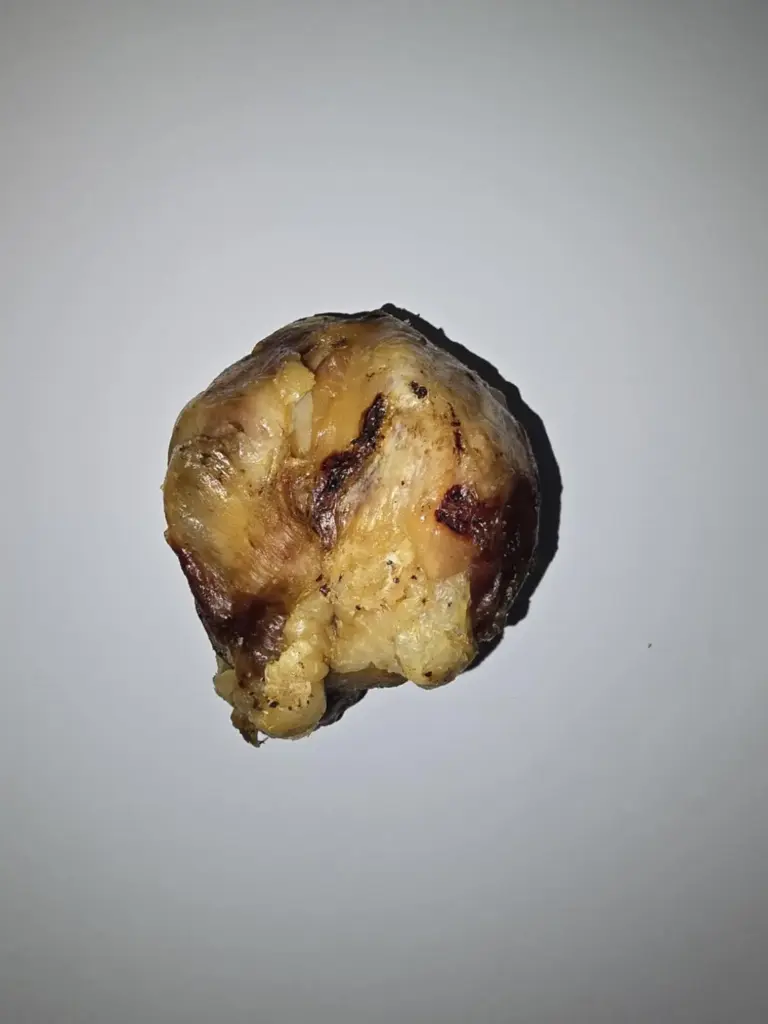 Beef Knee