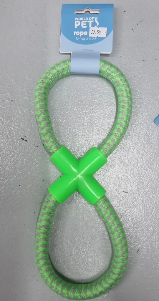 Green Dog Toy
