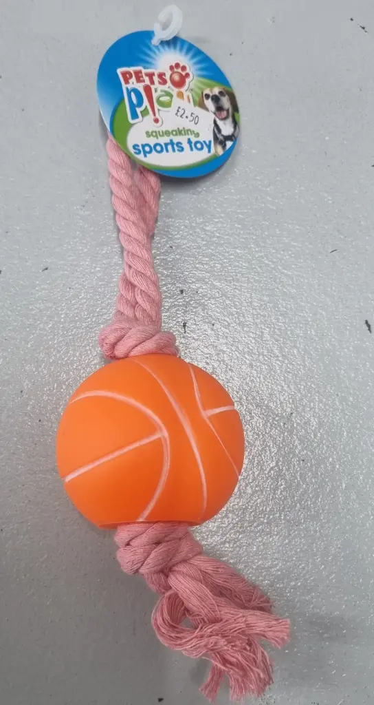 Squeaky Sports Toy
