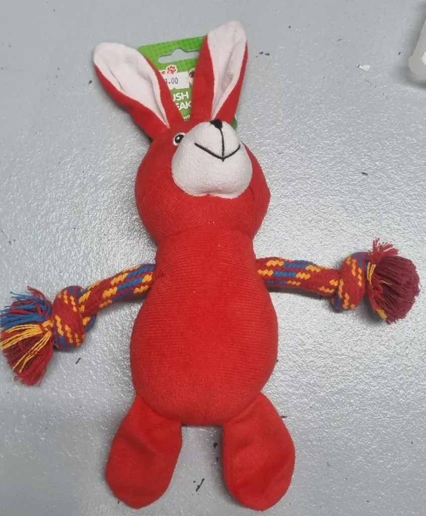 Red Dog's Teddy Toy