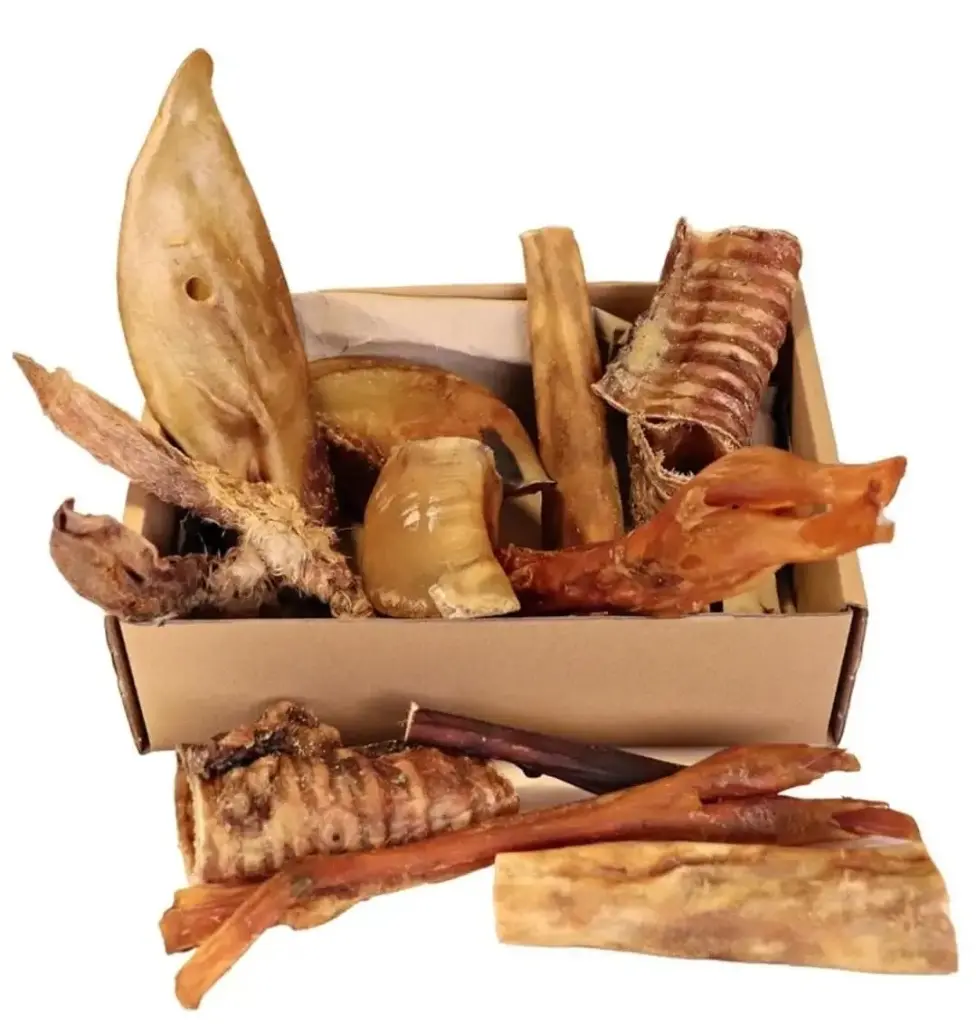 Mystery Dog Treats Box