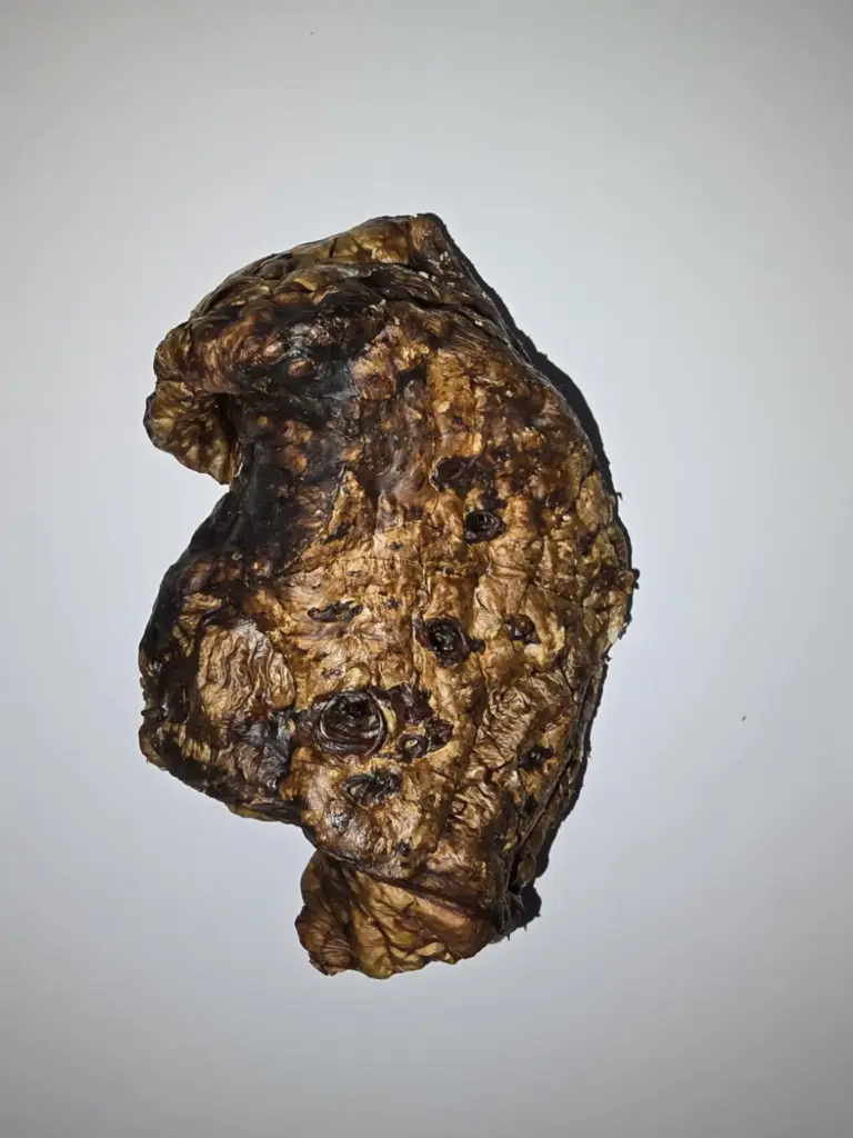 Beef Ling