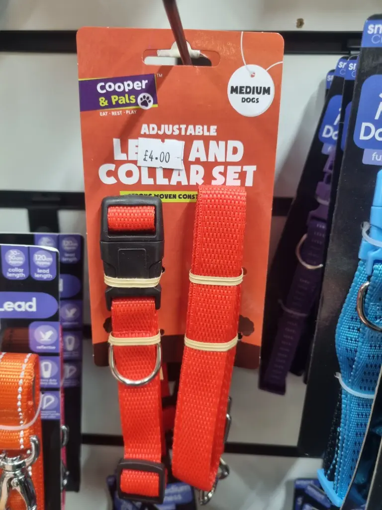 Lead & Collar set (medium dogs)