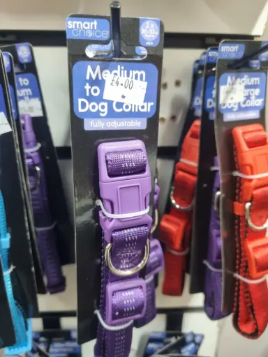 Med - Large Dog Collar